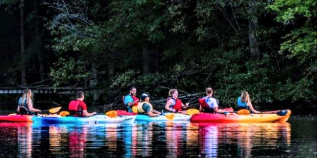 Several kayakers paddling in brightly-coloured kayaks with a lush green background